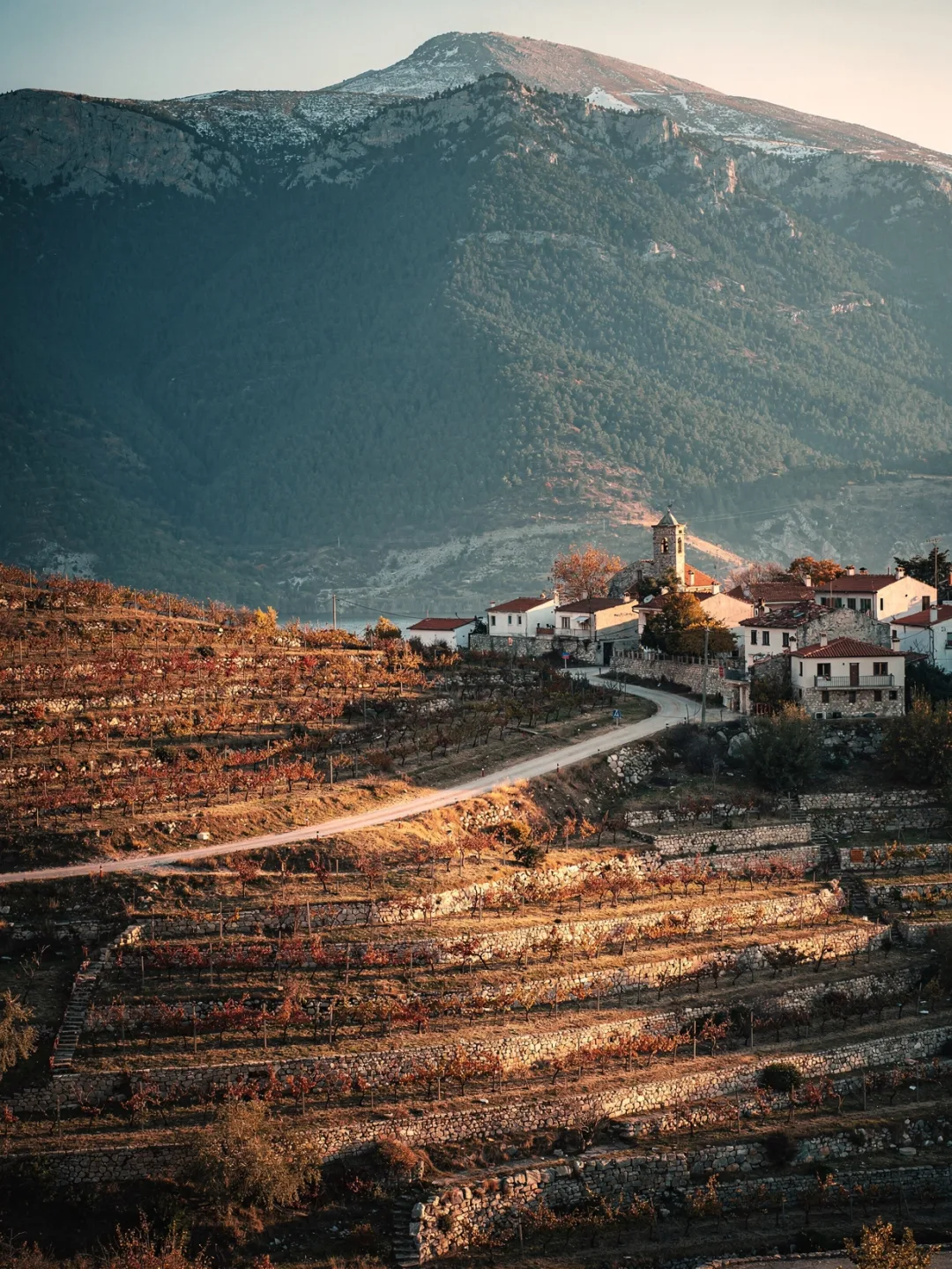 Landschaft der Region Naoussa