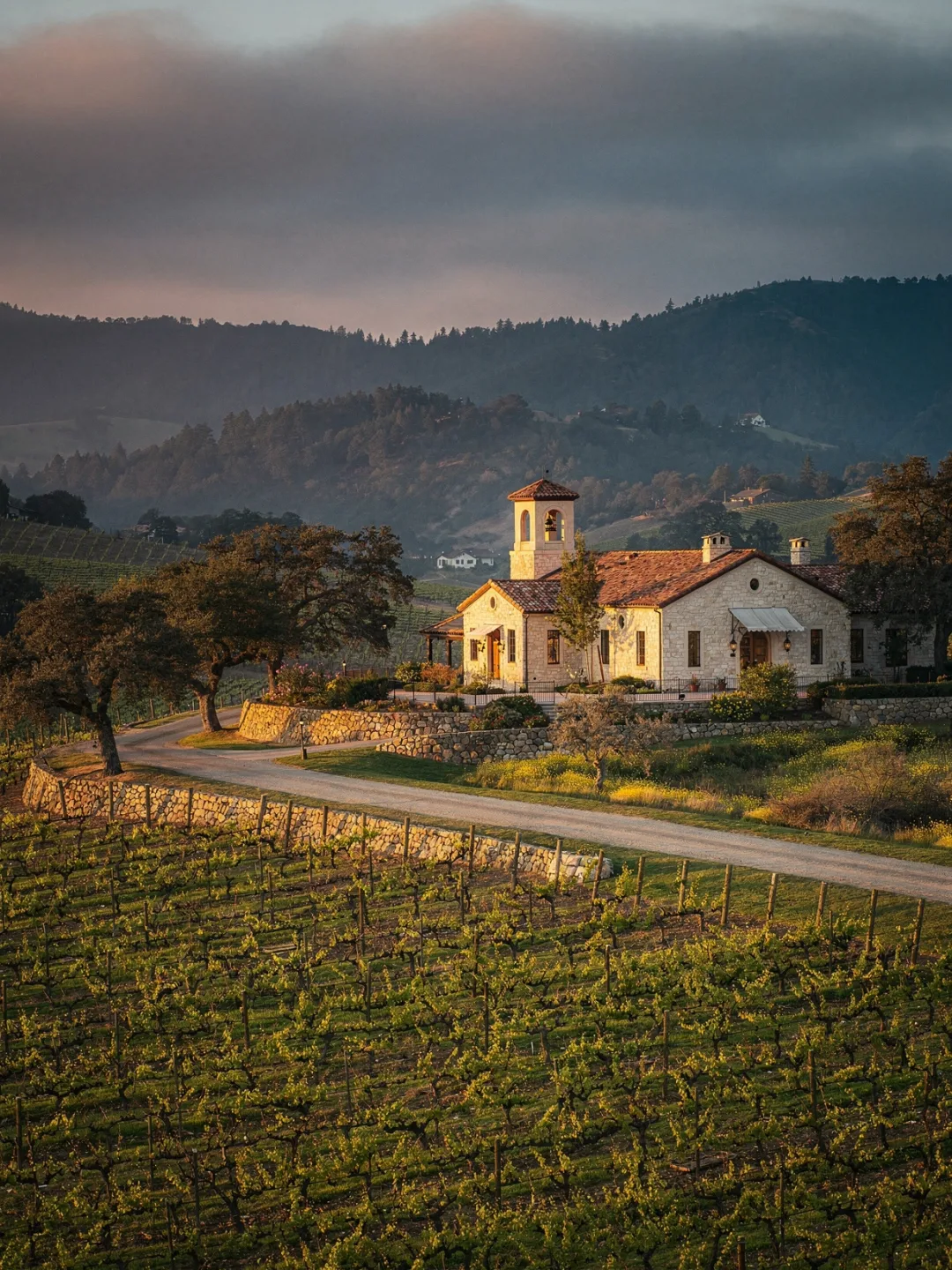 Landschaft der Region Napa Valley