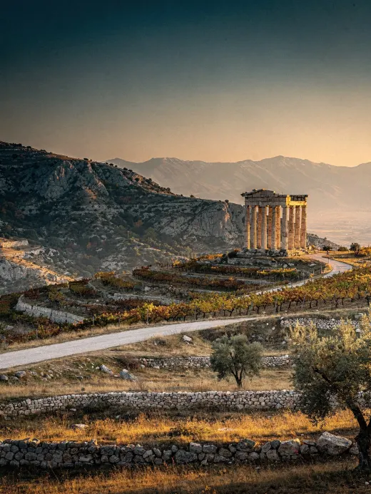 Landschaft der Region Nemea