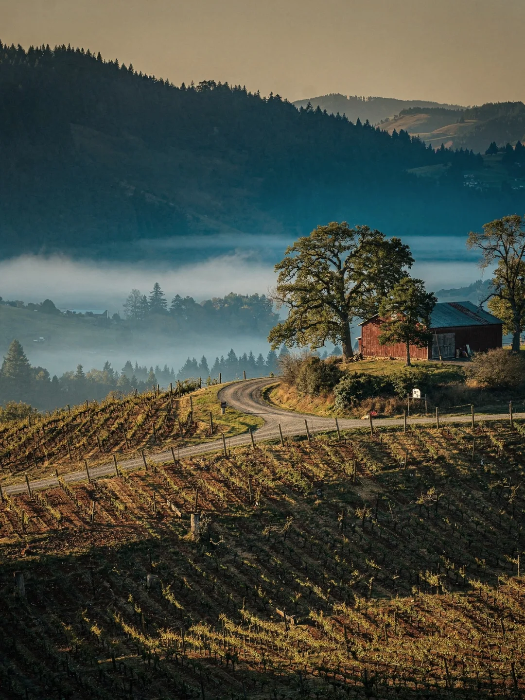 Landschaft der Region Oregon