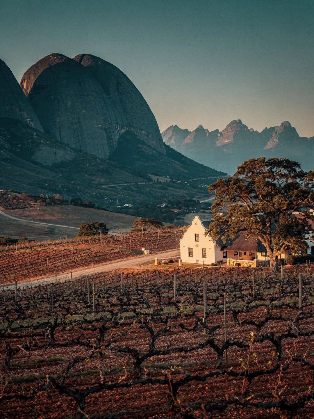 Landschaft der Region Paarl