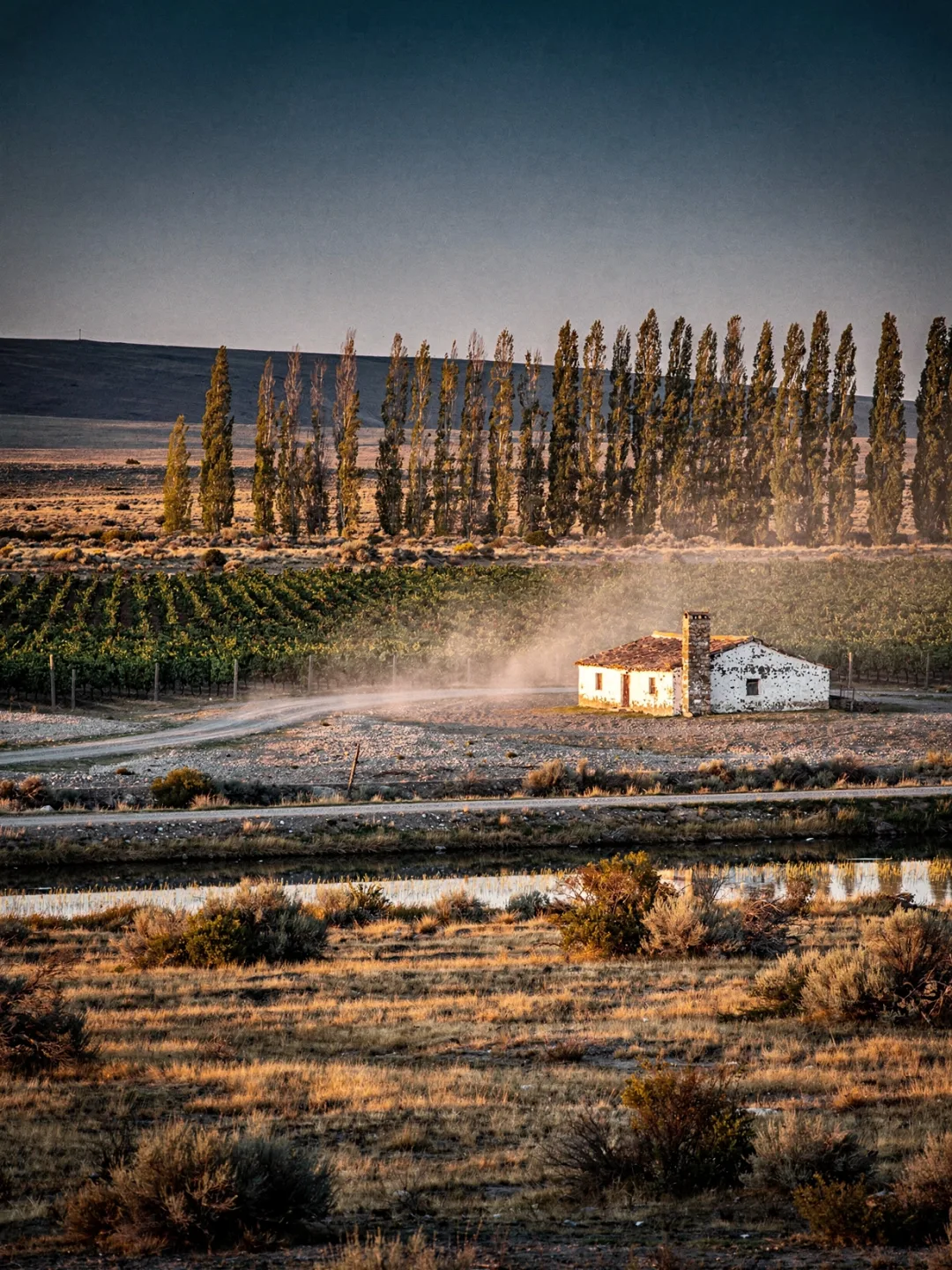 Landschaft der Region Patagonien