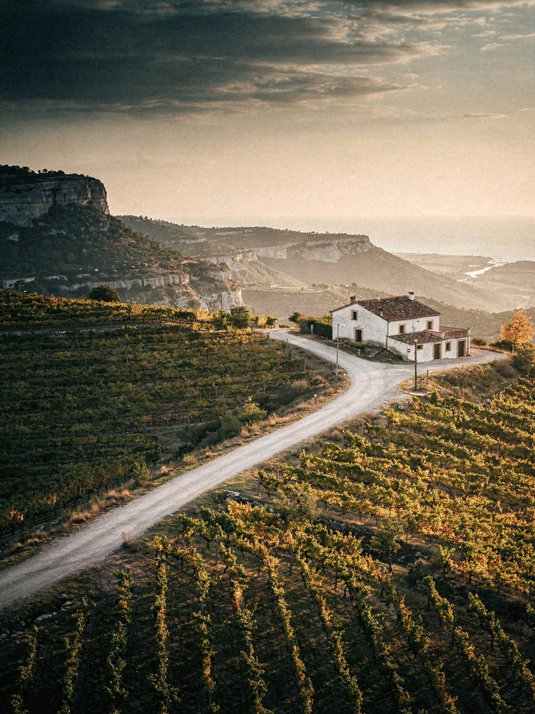 Landschaft der Region Penedès
