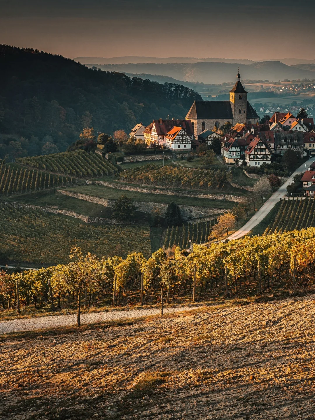 Landschaft der Region Pfalz