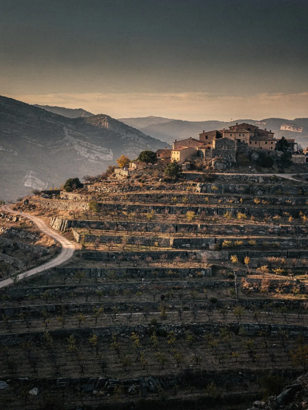 Landschaft der Region Priorat
