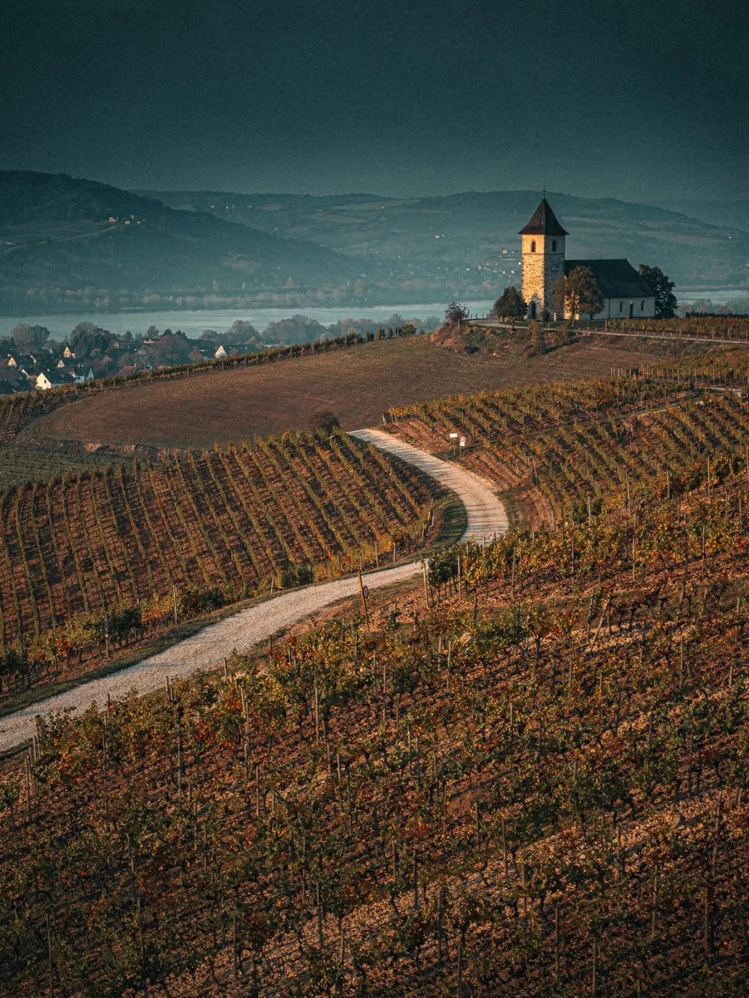 Landschaft der Region Rheinhessen