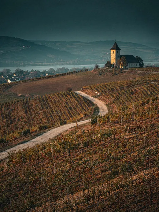 Landschaft der Region Rheinhessen