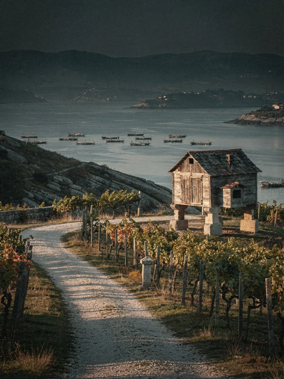 Landschaft der Region Rías Baixas