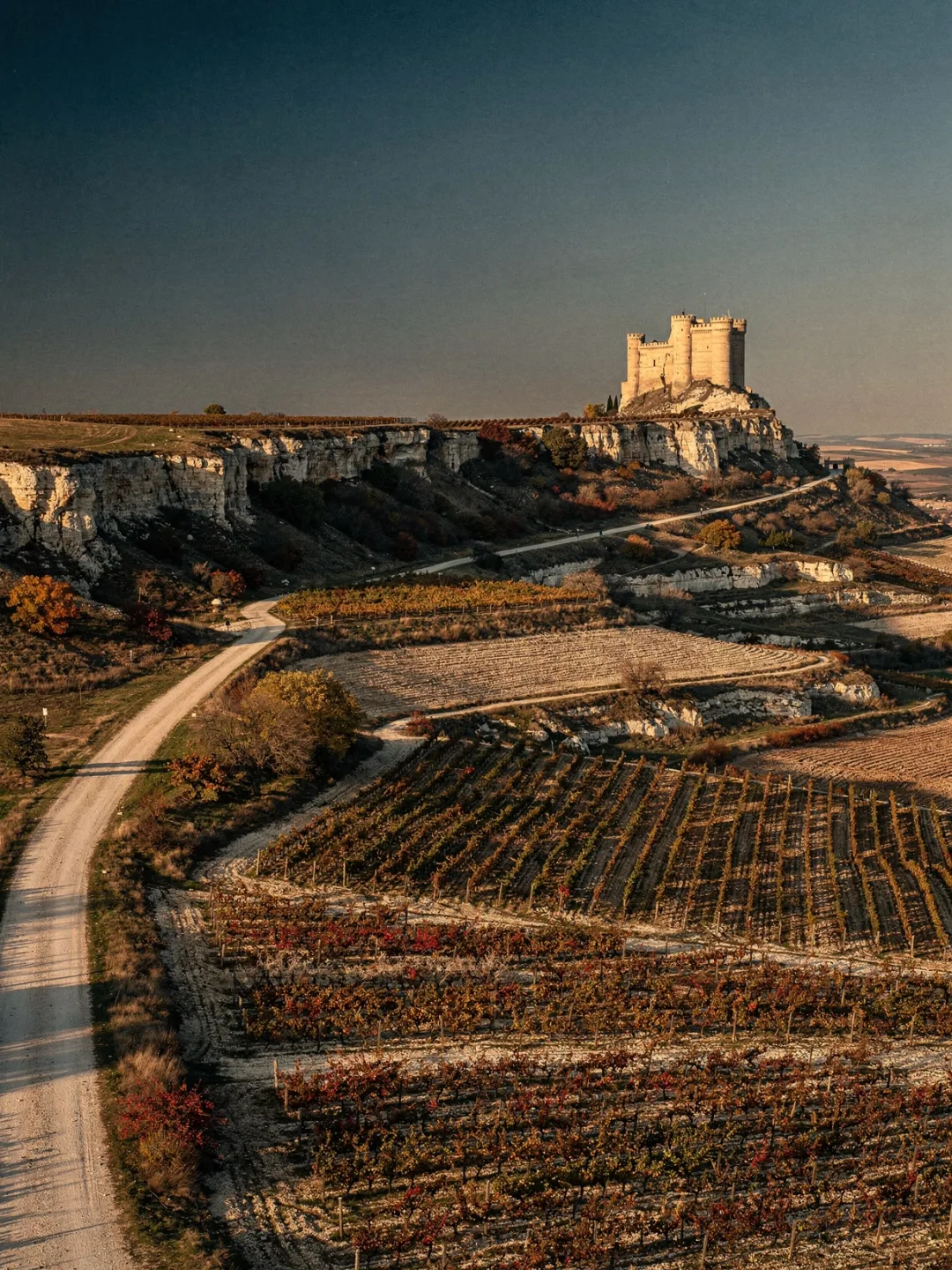 Landschaft der Region Ribera del Duero