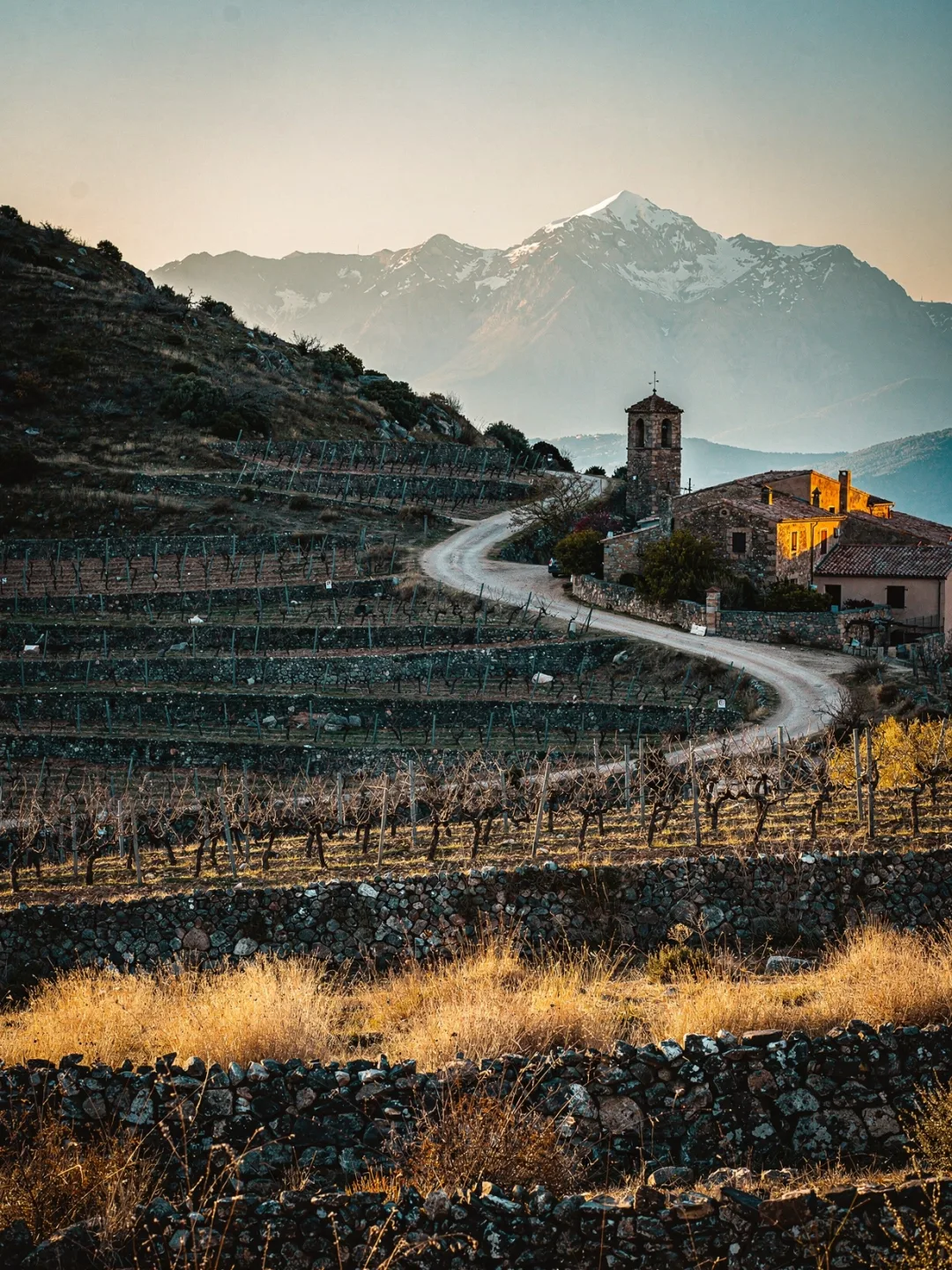 Landschaft der Region Roussillon