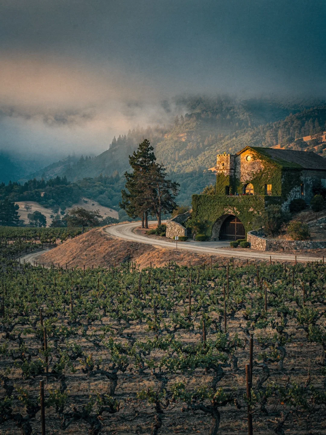 Landschaft der Region Sonoma