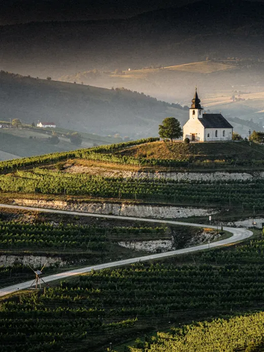 Landschaft der Region Štajerska