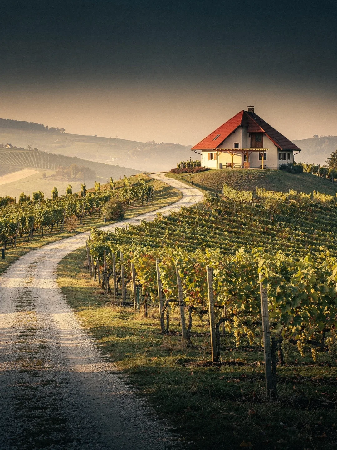 Landschaft der Region Steiermark