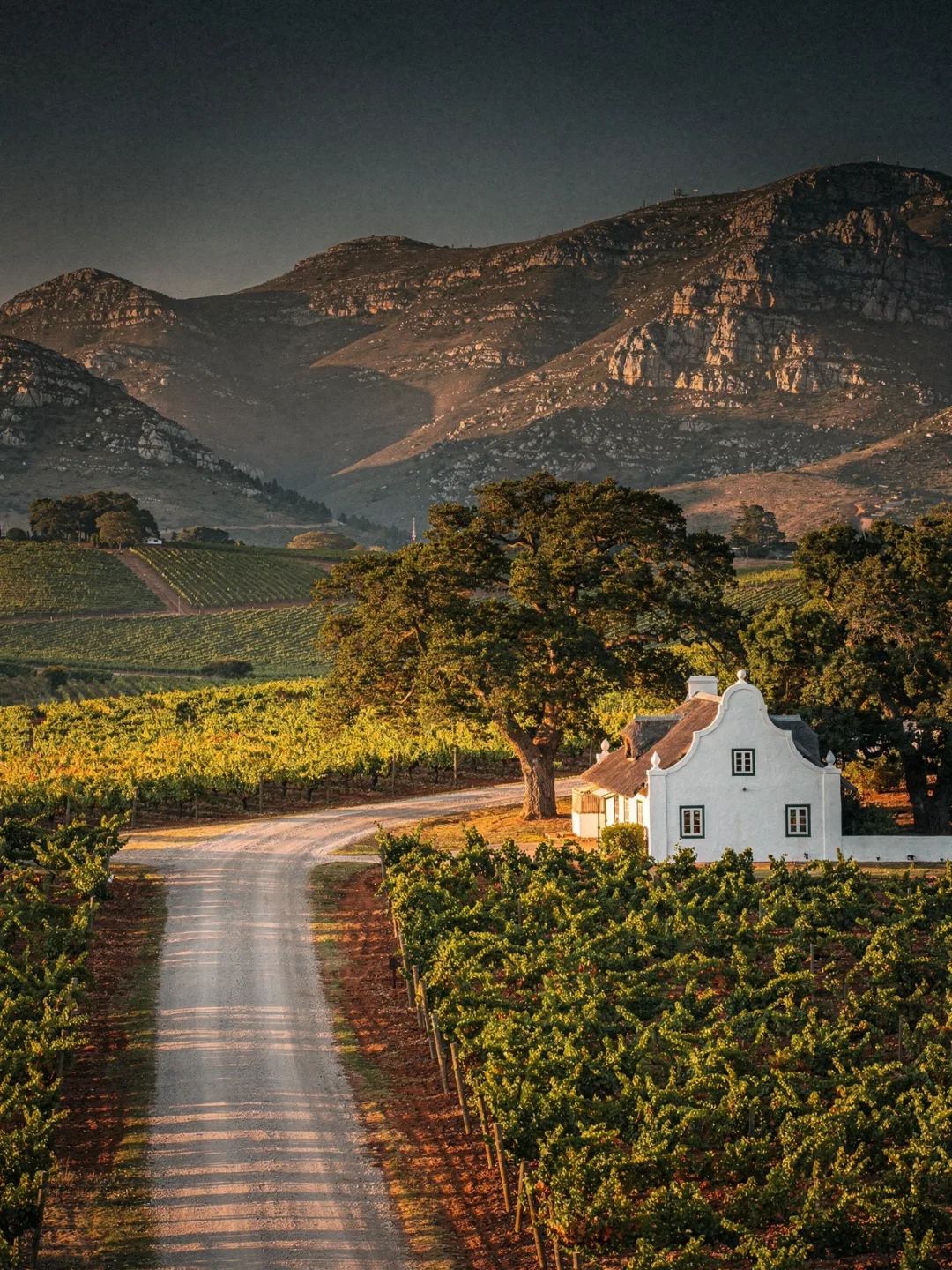 Landschaft der Region Stellenbosch
