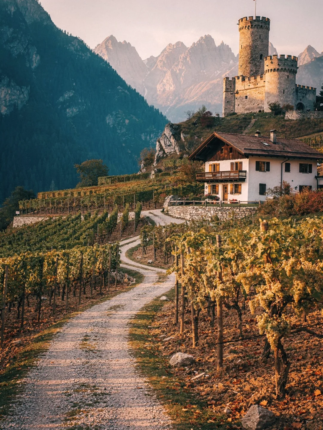 Landschaft der Region Südtirol