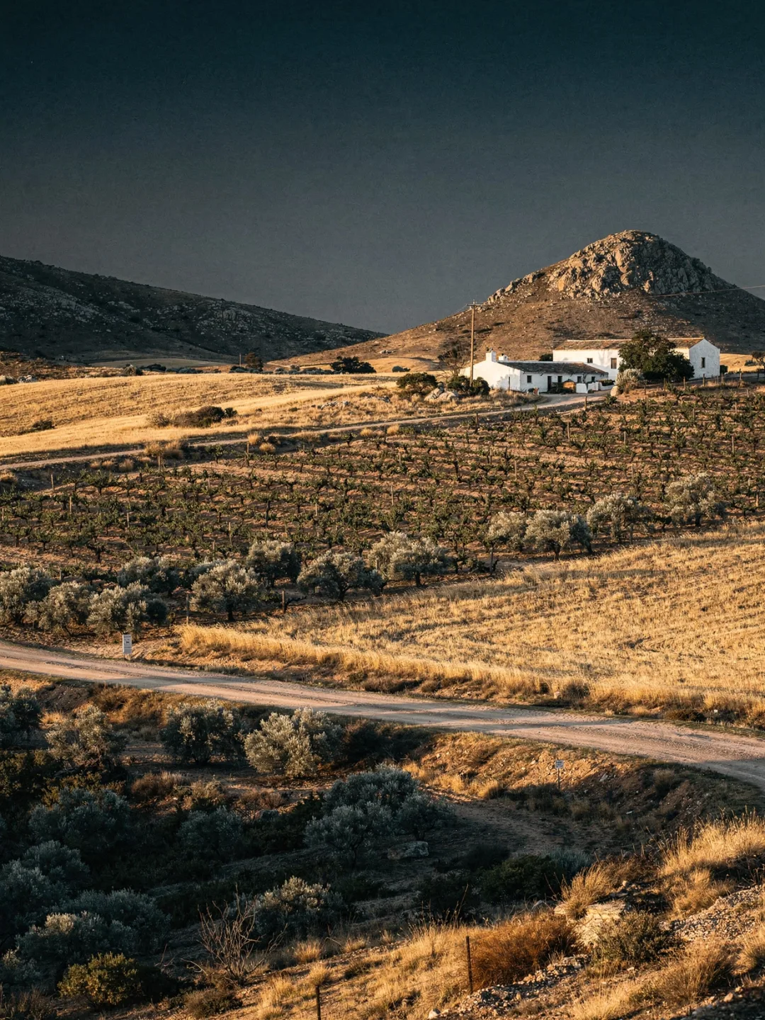 Landschaft der Region Swartland