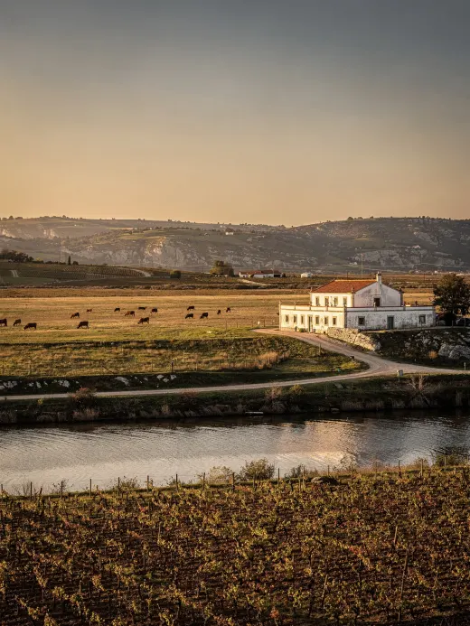 Landschaft der Region Tejo