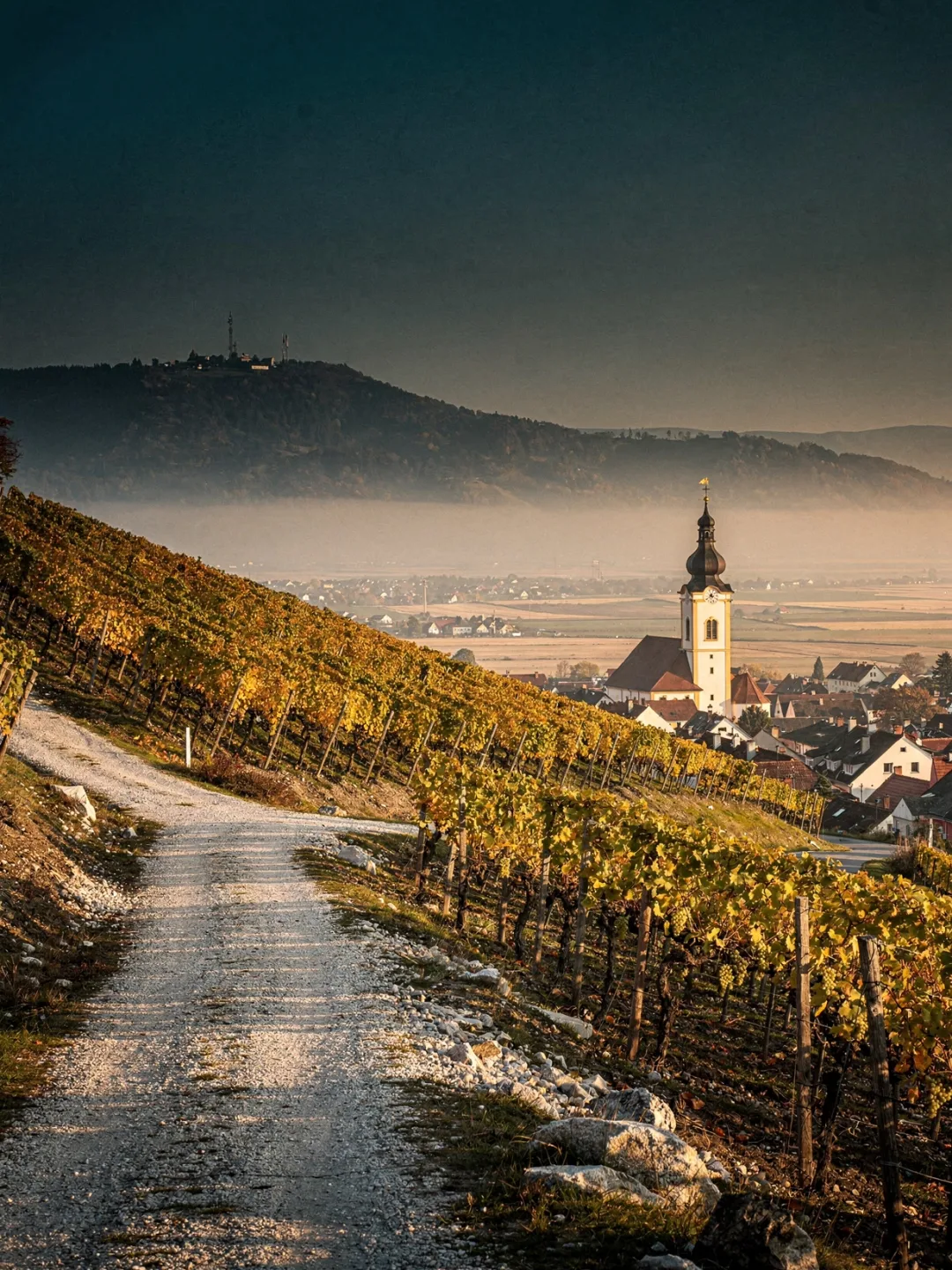 Landschaft der Region Thermenregion