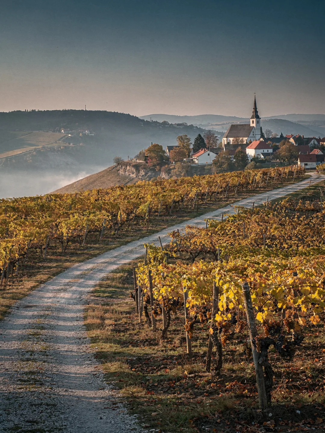 Landschaft der Region Tokaj