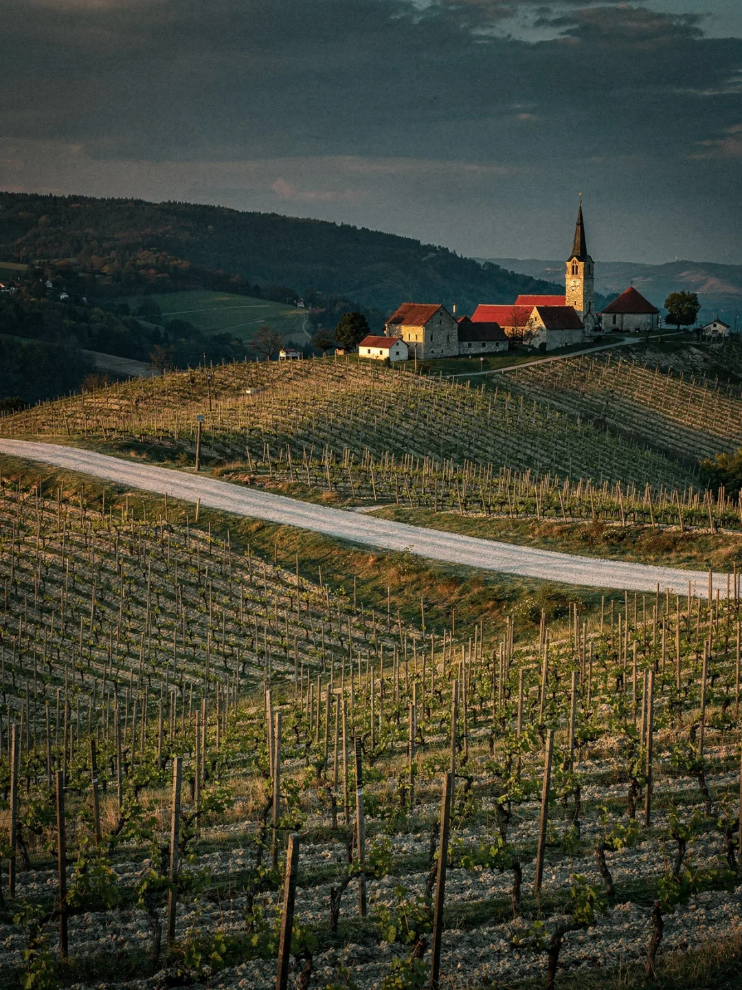 Landschaft der Region Traisental