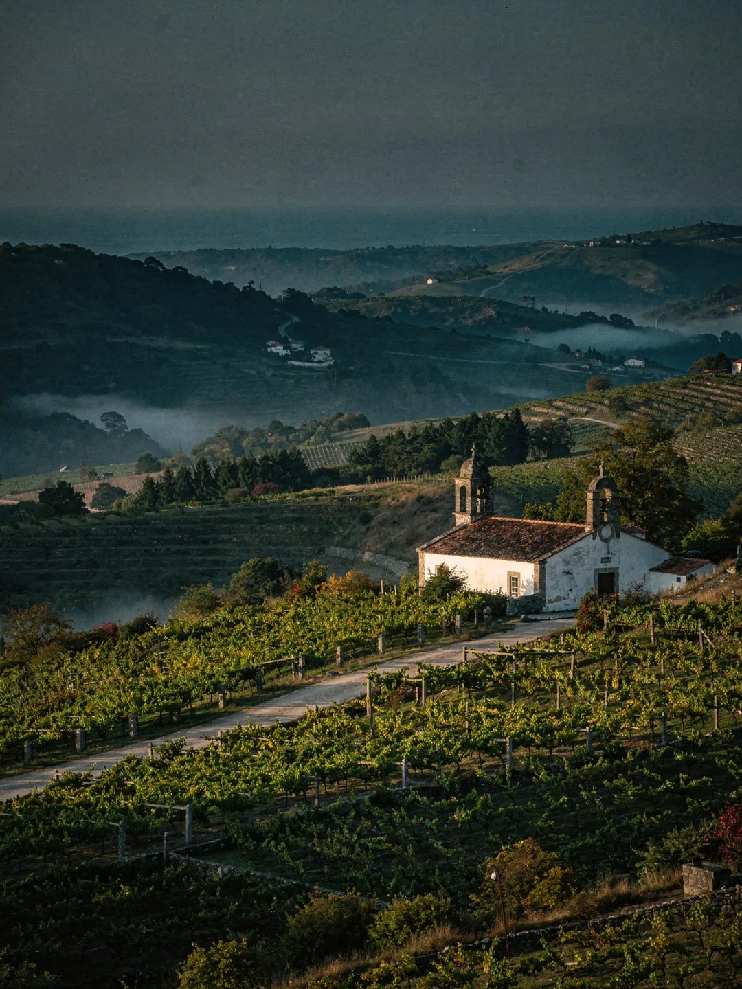 Landschaft der Region Vinho Verde