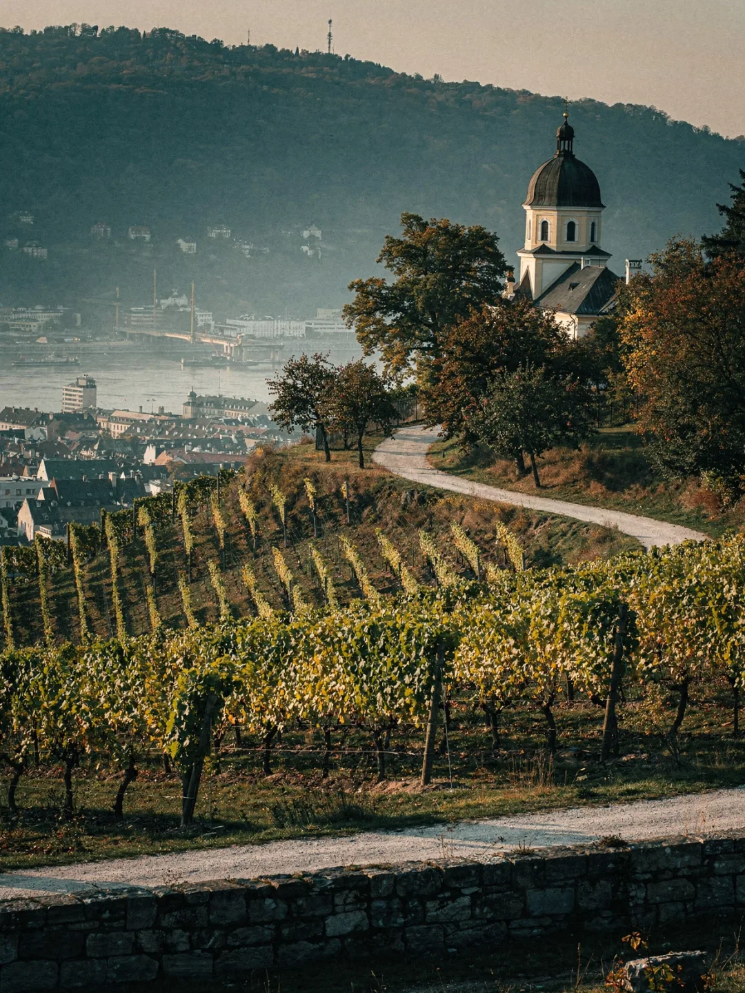 Landschaft der Region Wien