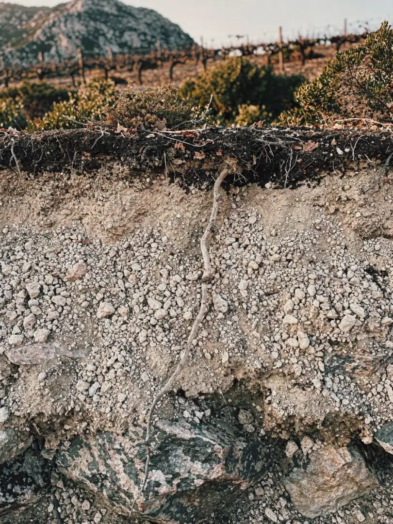 Soils in the region Corsica