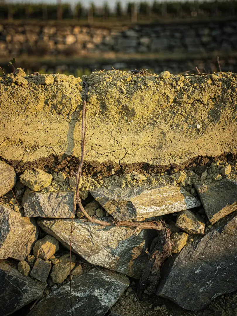 Soils in the region Kremstal