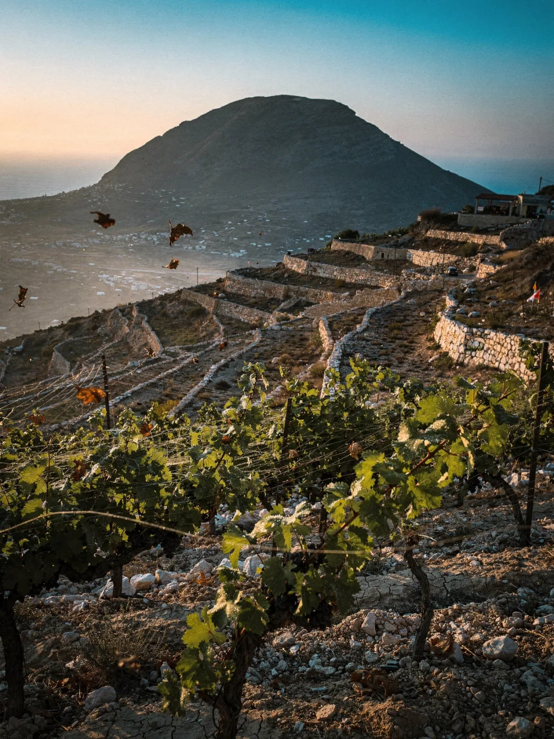 Klima in der Region Kreta