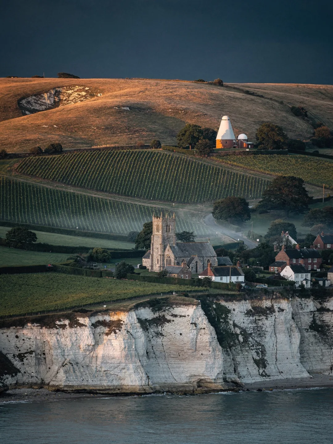 Englands Süden mit Kreidehügeln und Rebzeilen