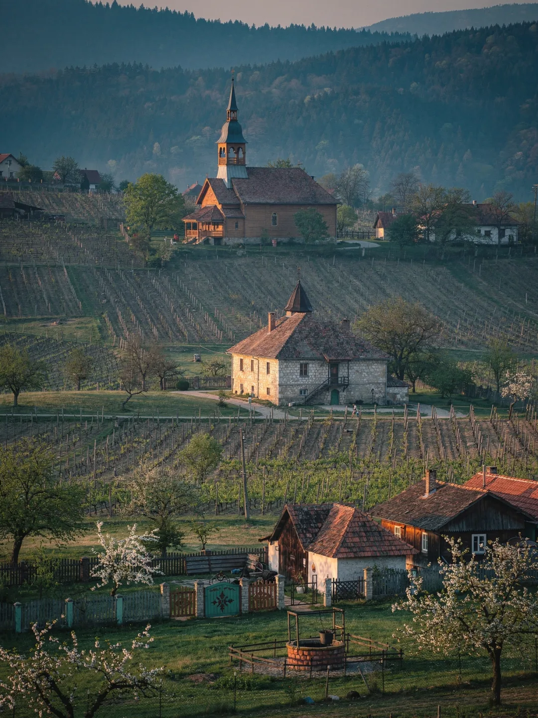 Rumäniens Weinberge am Karpatenbogen
