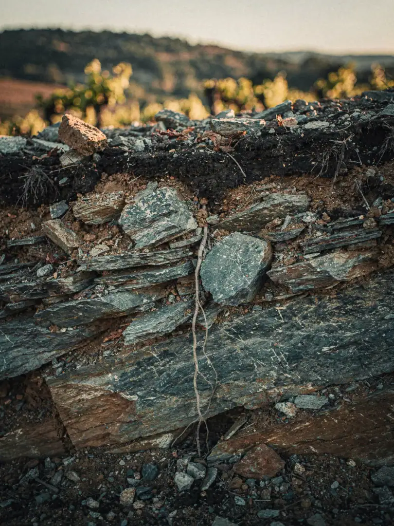 Soils in the region Languedoc