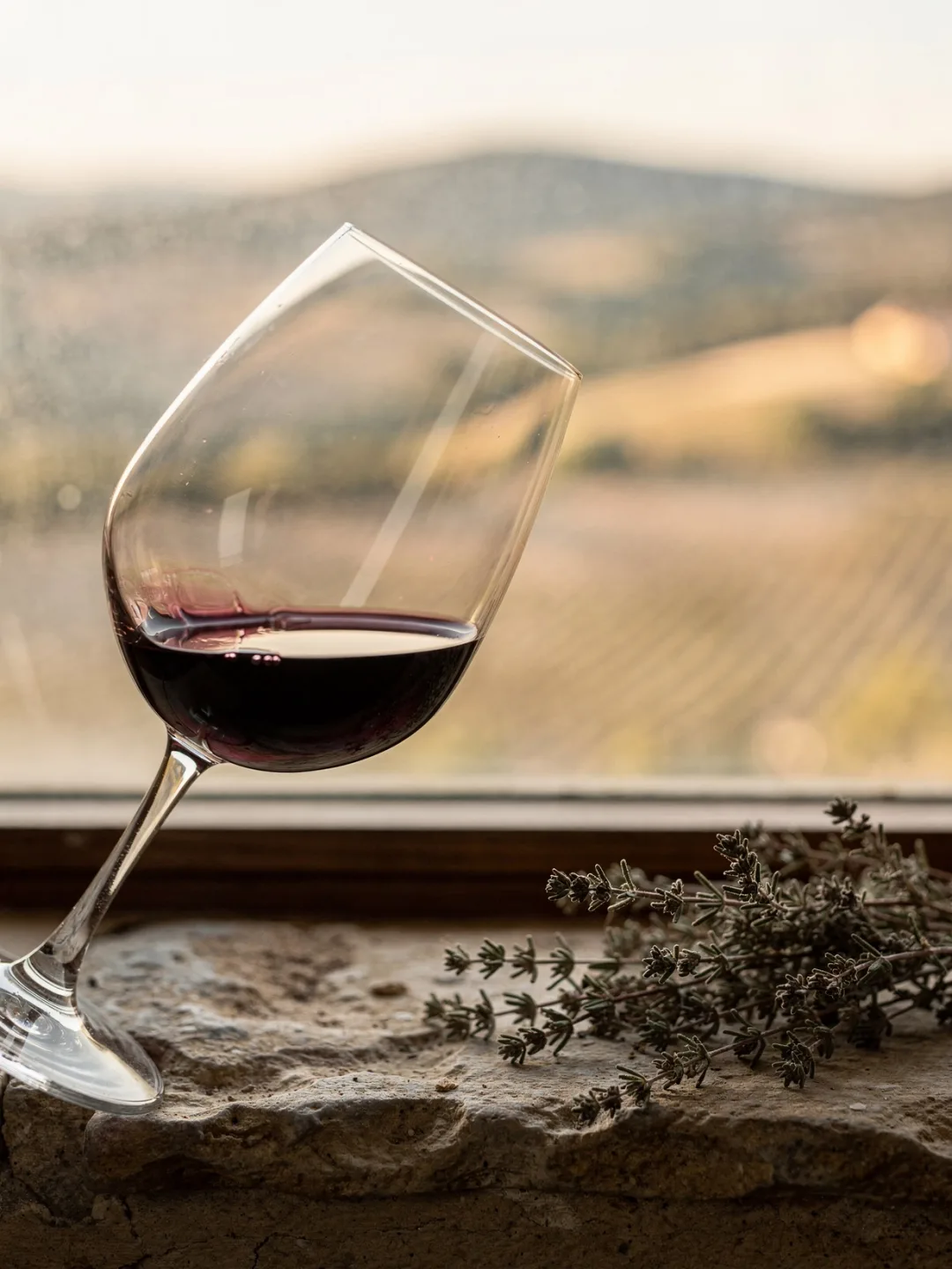 Verkosten in der Region Languedoc