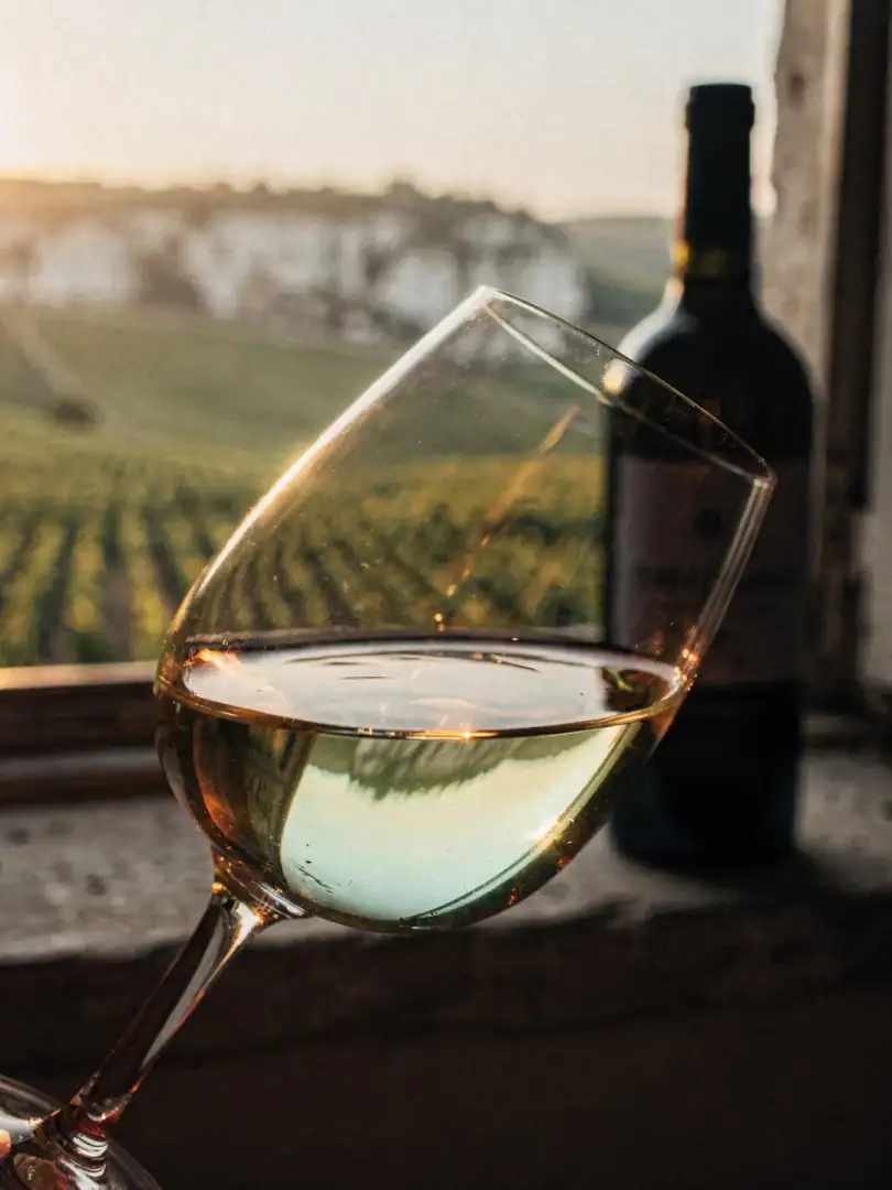 Tasting in the region Loire