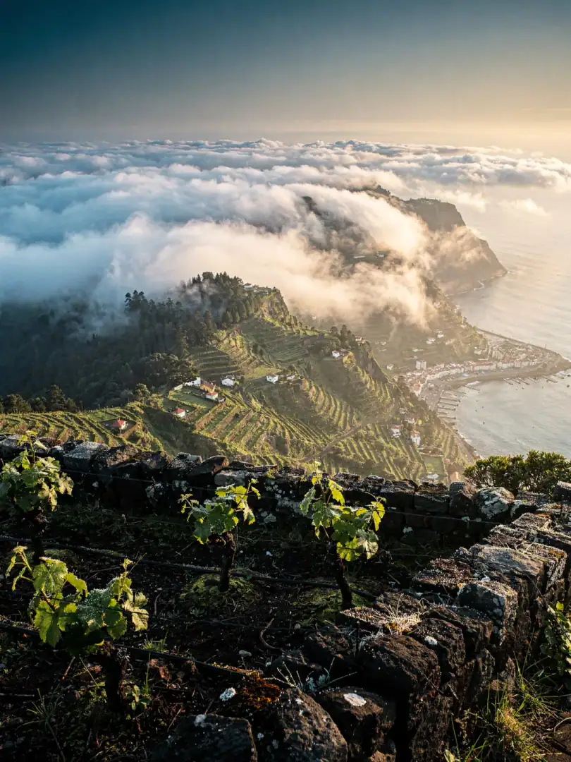 Climate in the region Madeira