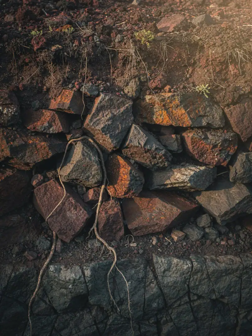Soils in the region Madeira