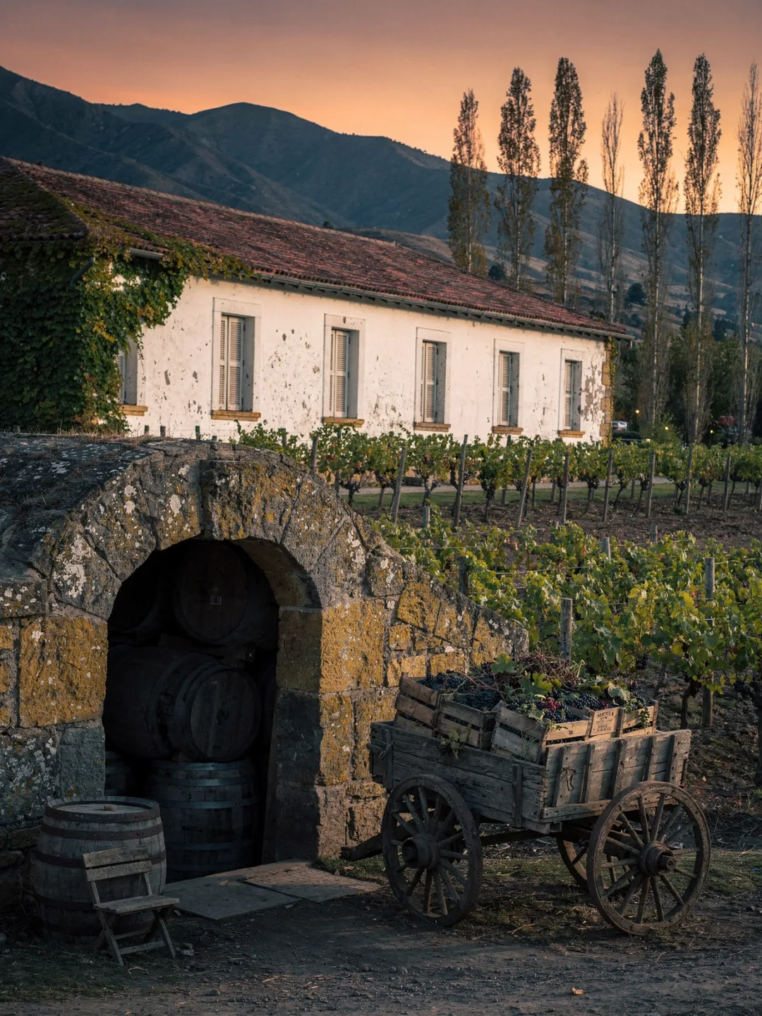 Region & Geschichte in der Region Maipo