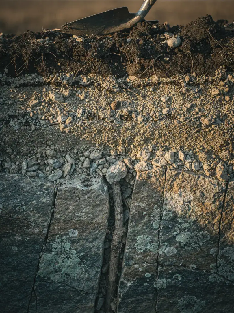 Soils in the region Maldonado