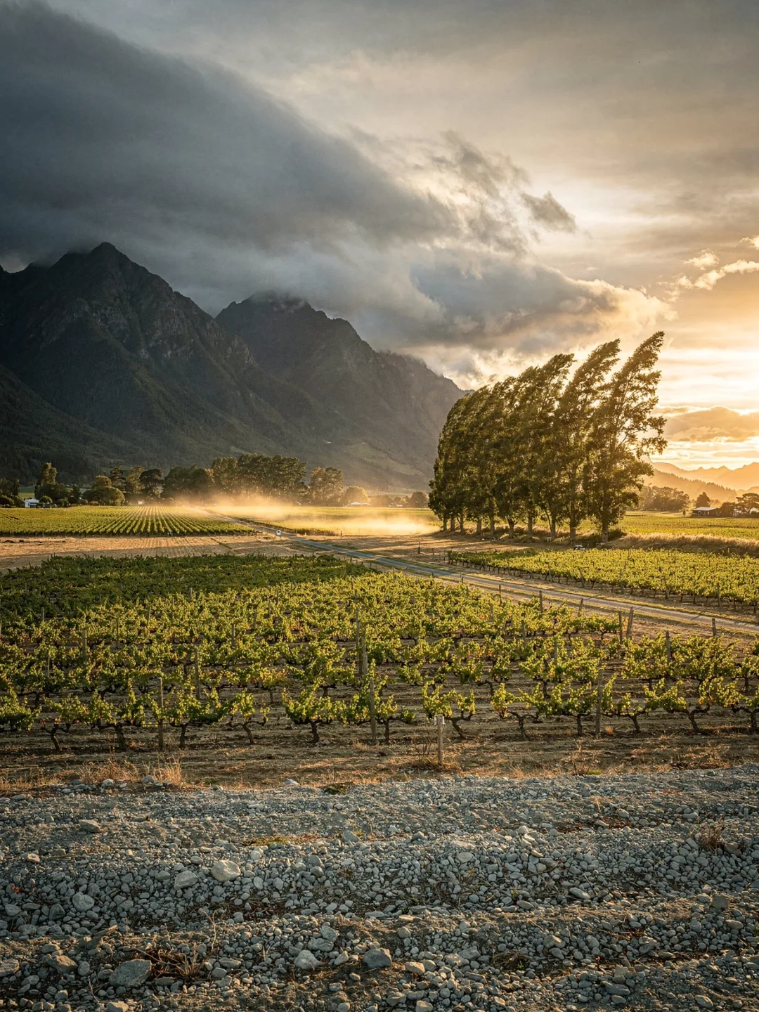 Klima in der Region Martinborough