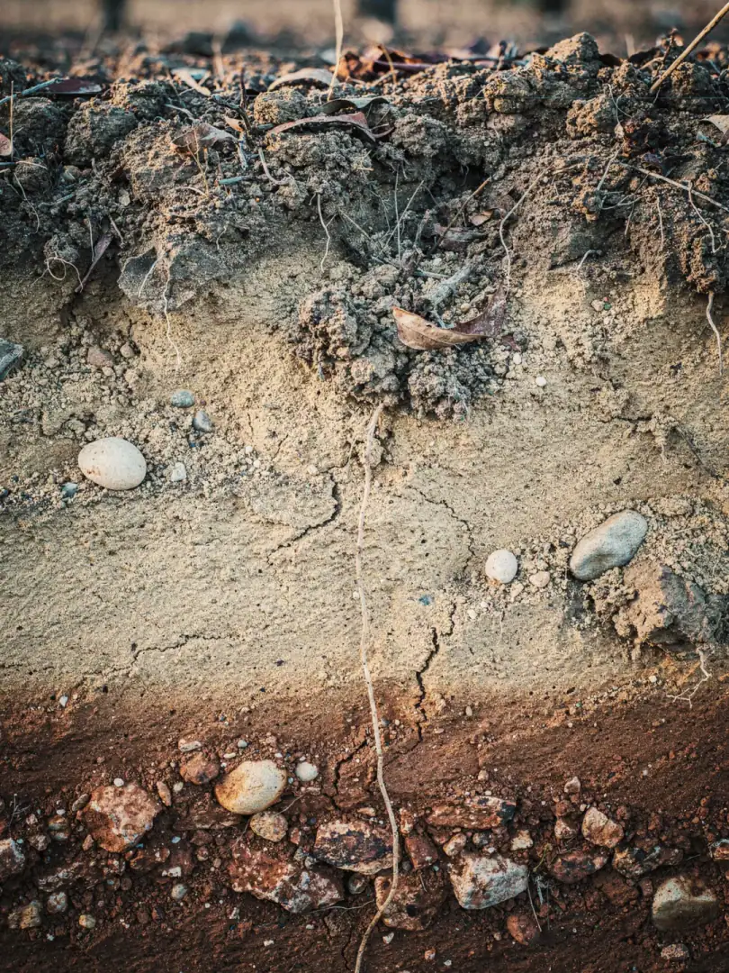 Soils in the region McLaren Vale