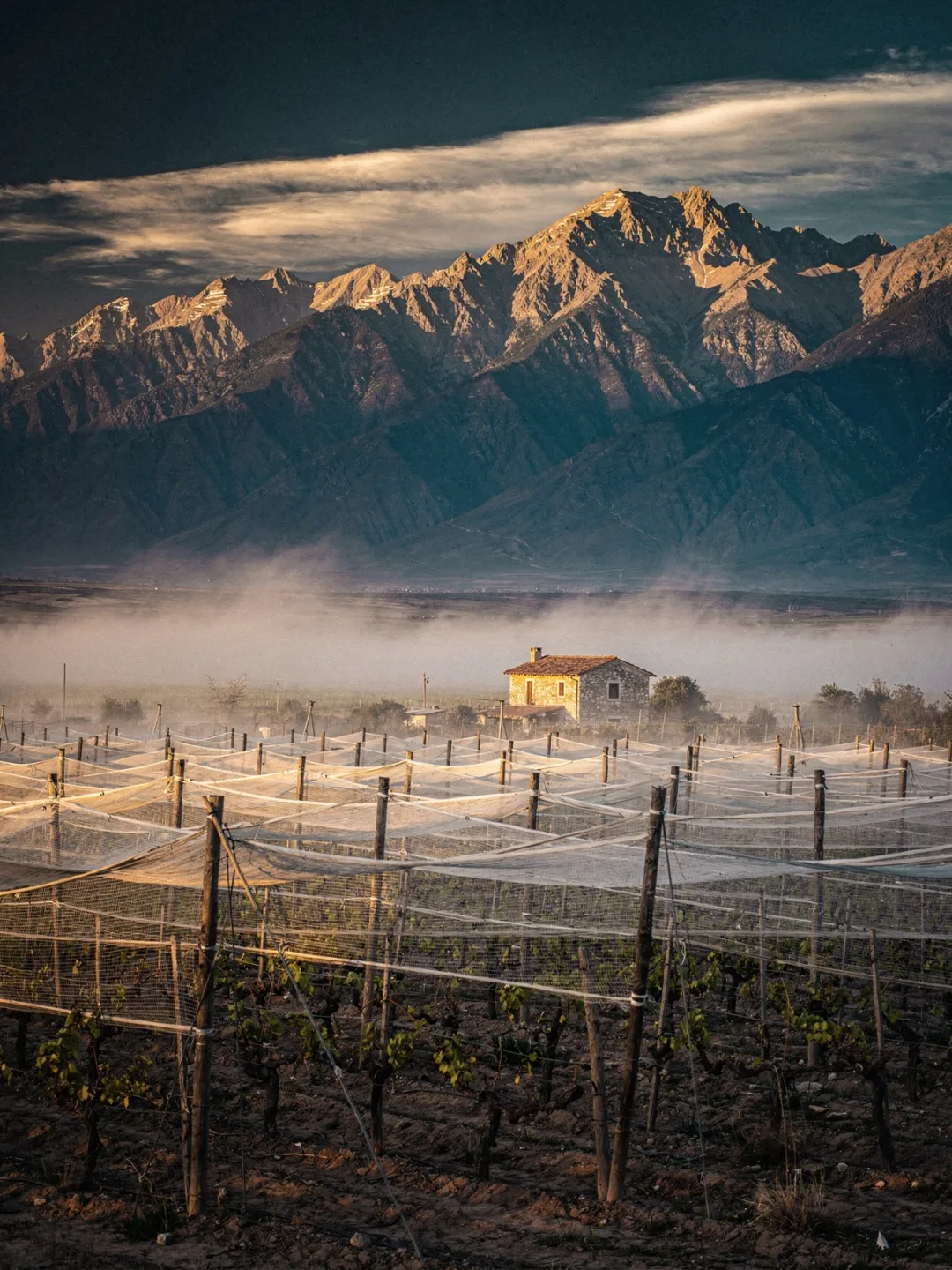 Klima in der Region Mendoza