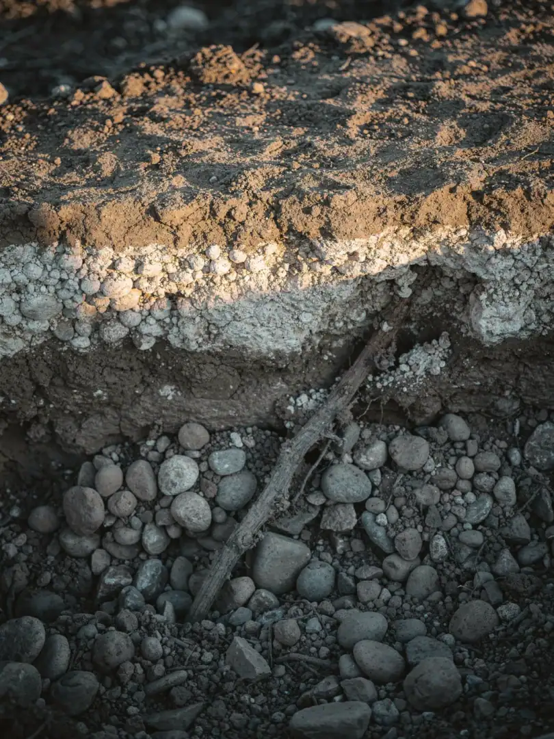 Soils in the region Mendoza