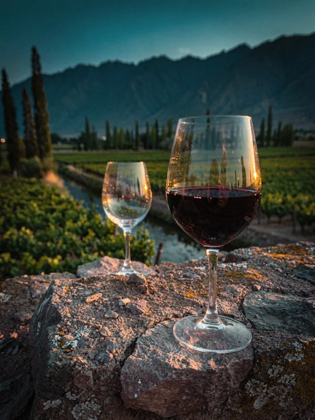 Gläser in der Region Mendoza
