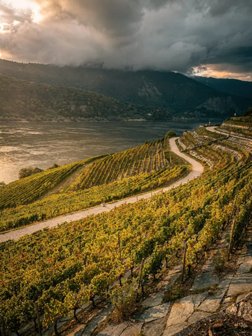 Climate in the region Mittelrhein