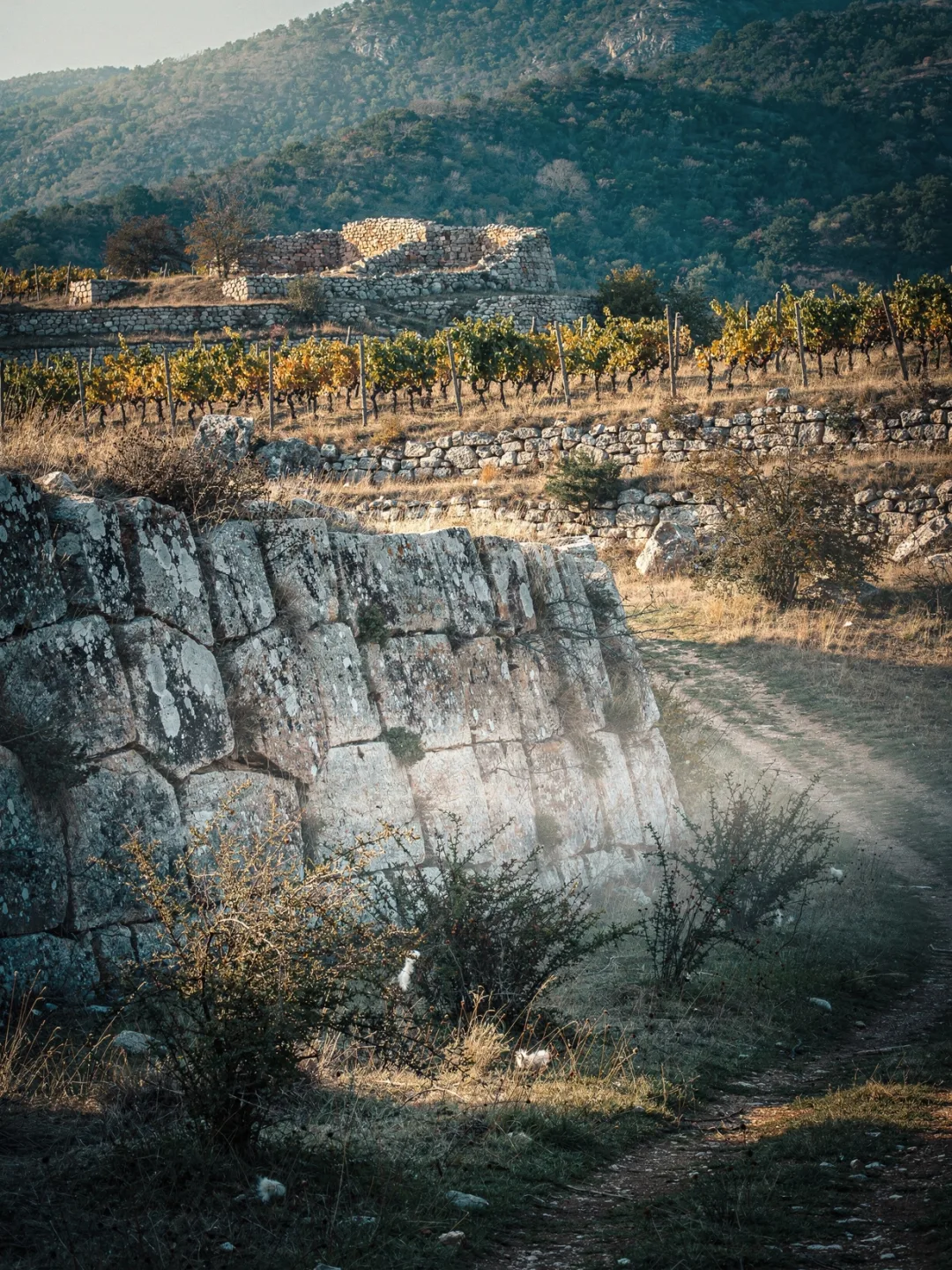 Region & Geschichte in der Region Molise