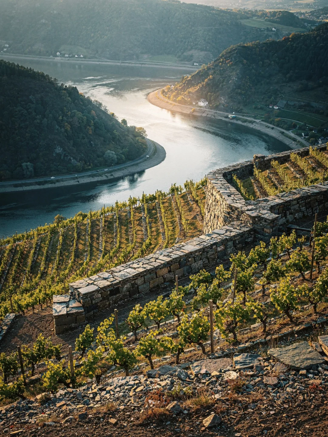 Klima in der Region Mosel
