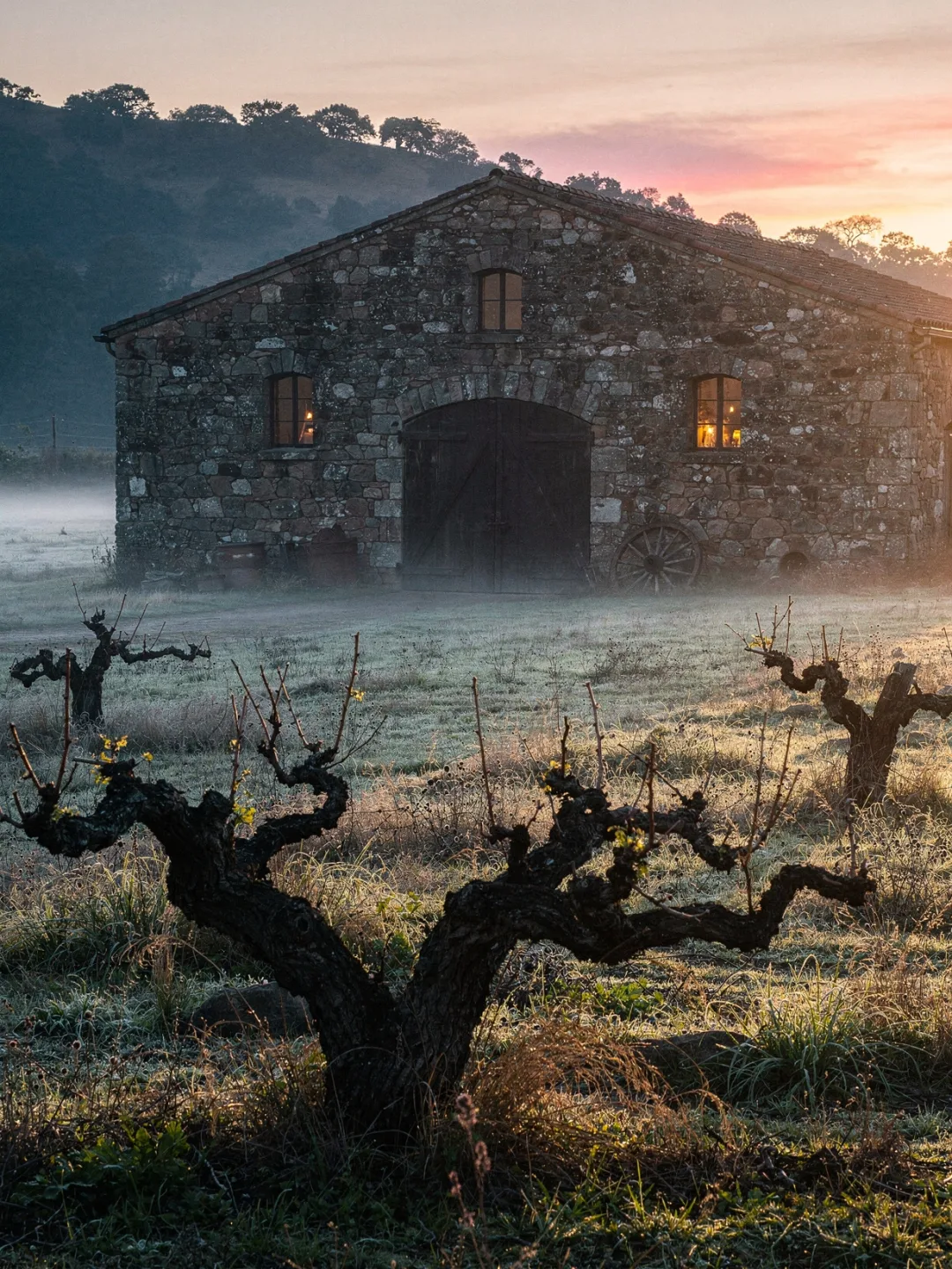 Region & Geschichte in der Region Napa Valley