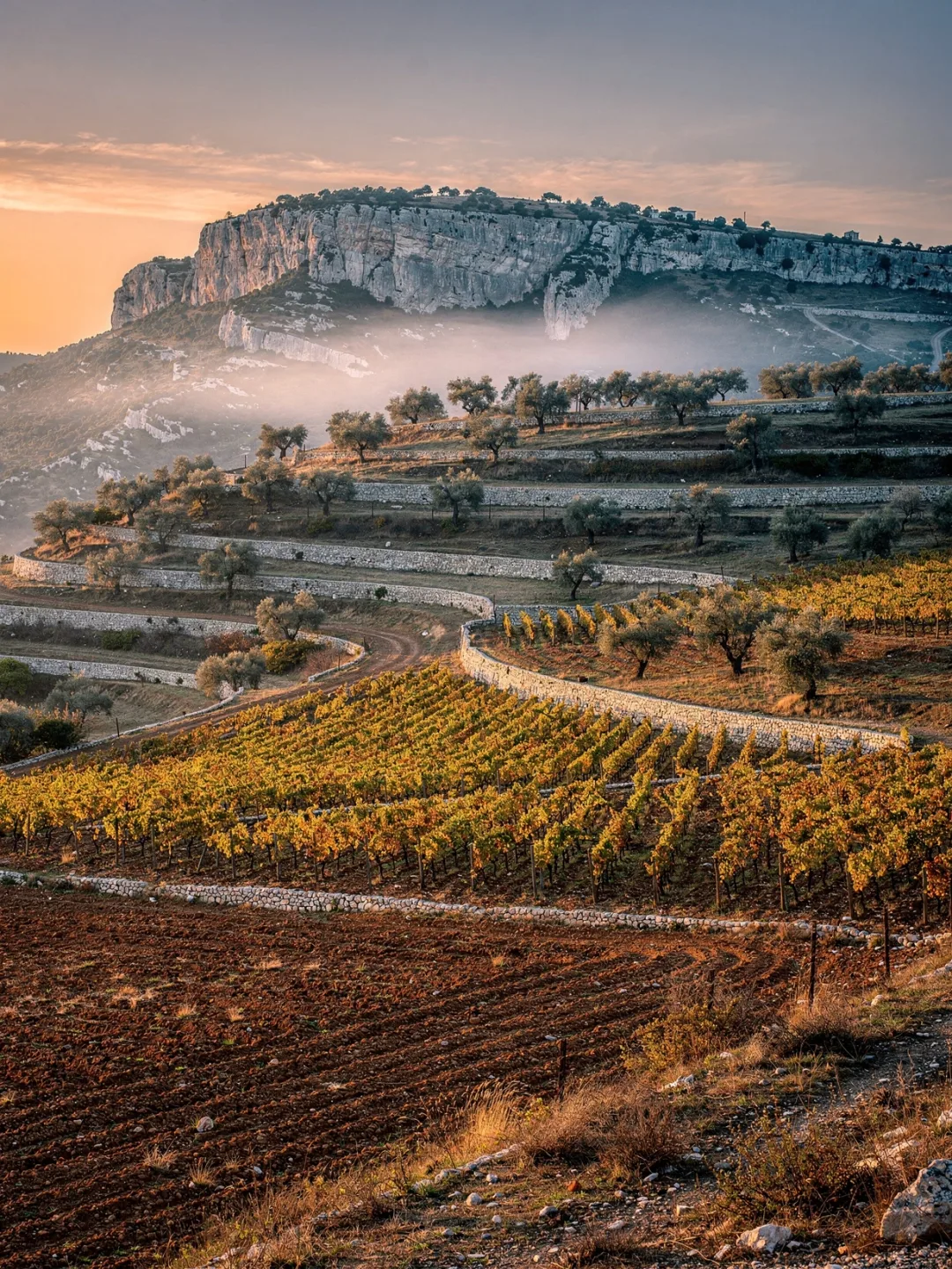 Klima in der Region Nemea