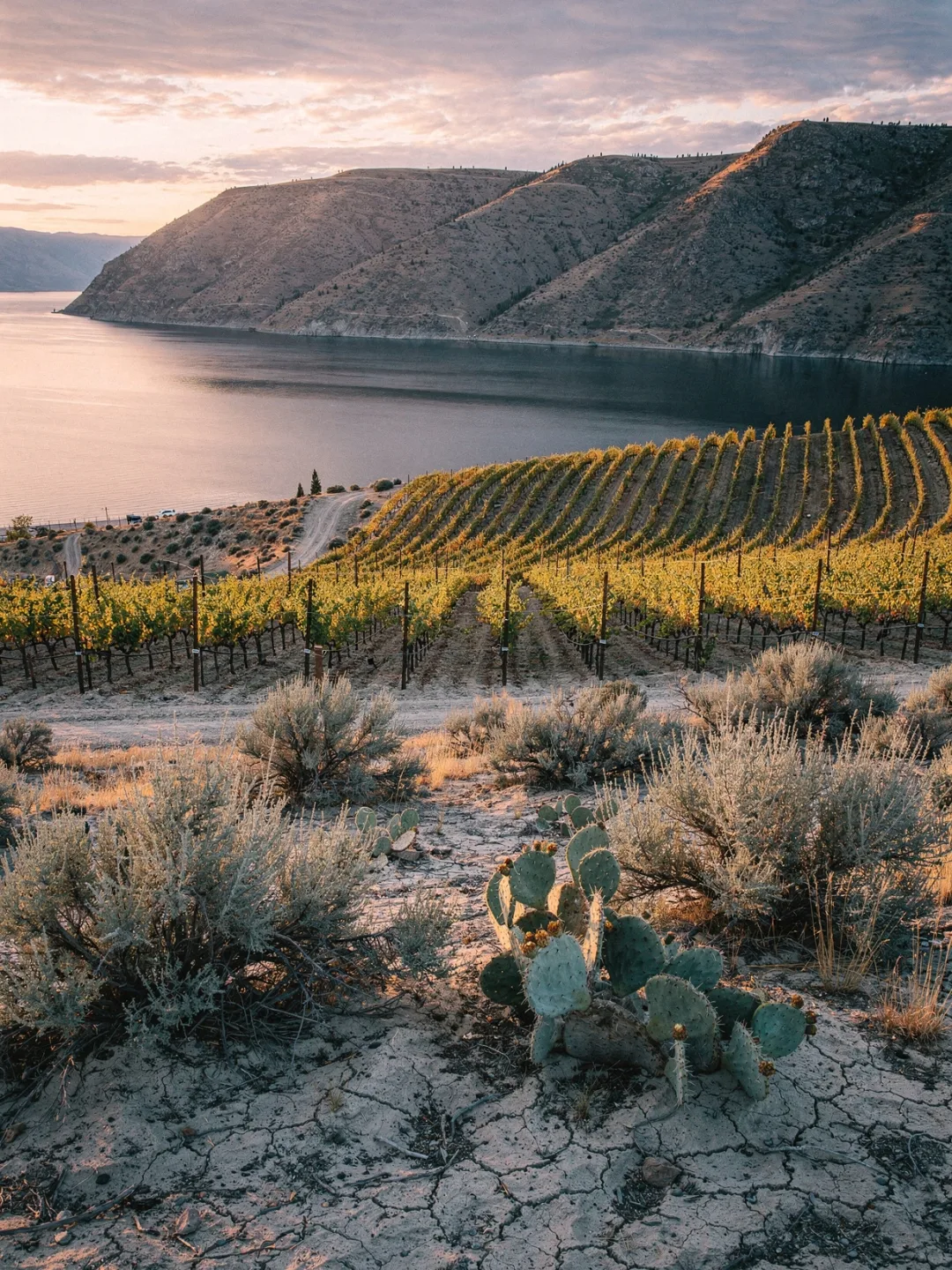 Klima in der Region Okanagan