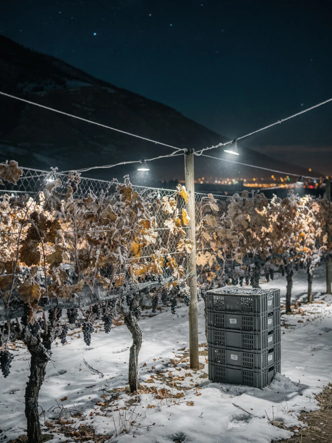 Herstellung in der Region Okanagan